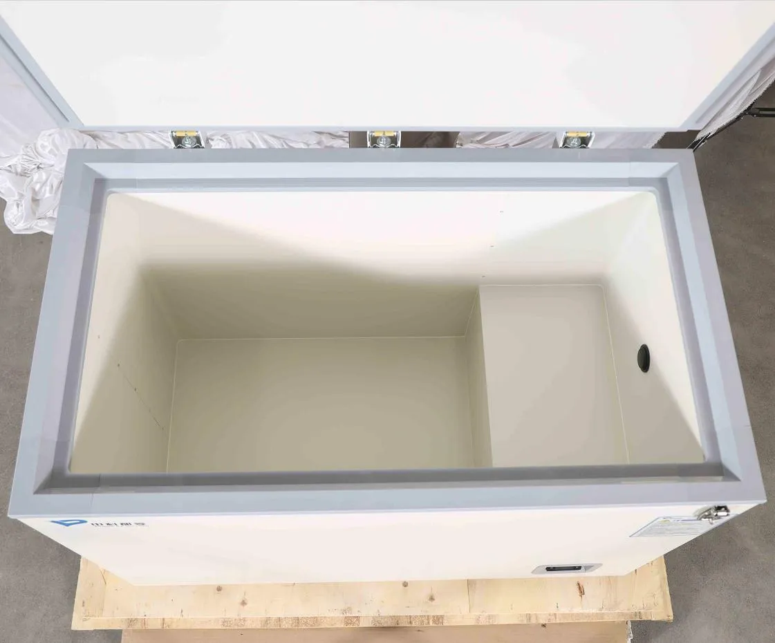 Cryo Freezer (2)